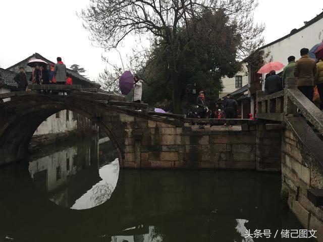 湘潭市沙子岭猪特色产业发展研讨座谈会举行